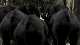 Parul - 6th August 2025